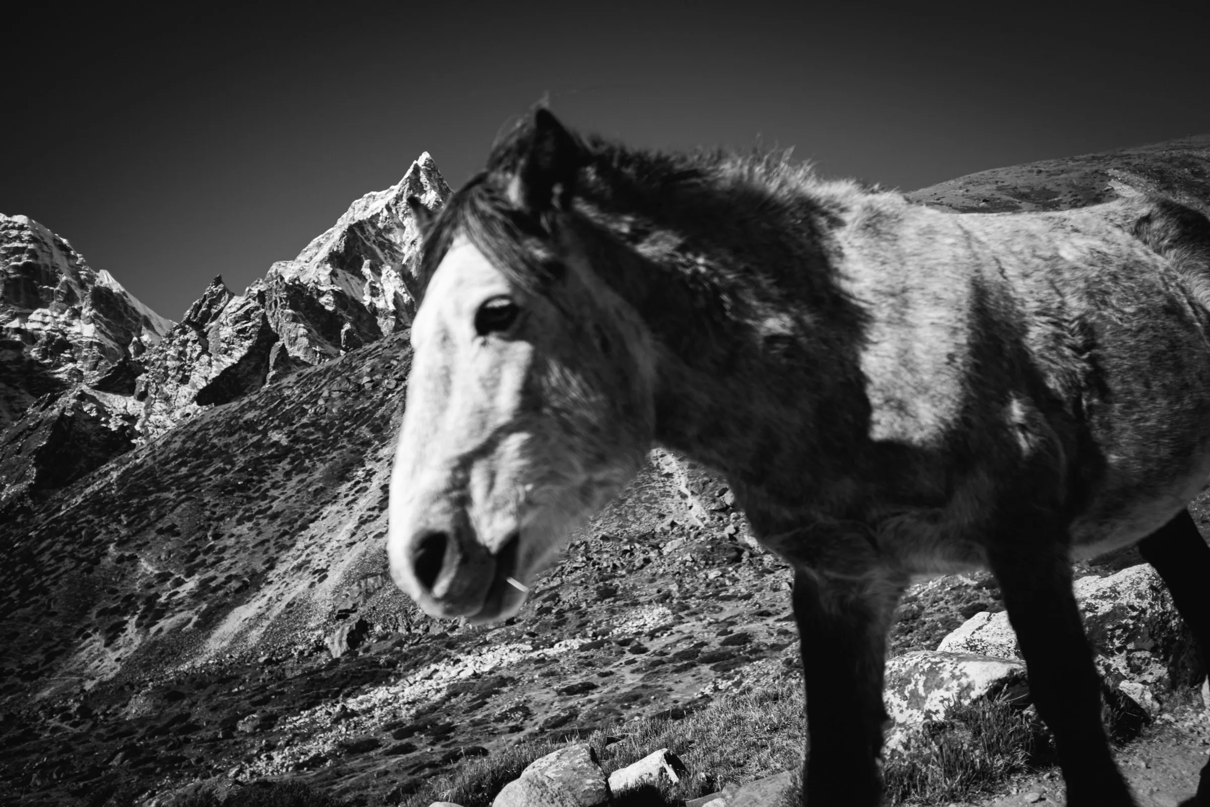 Népal, Everest Base Camp Trek — 1