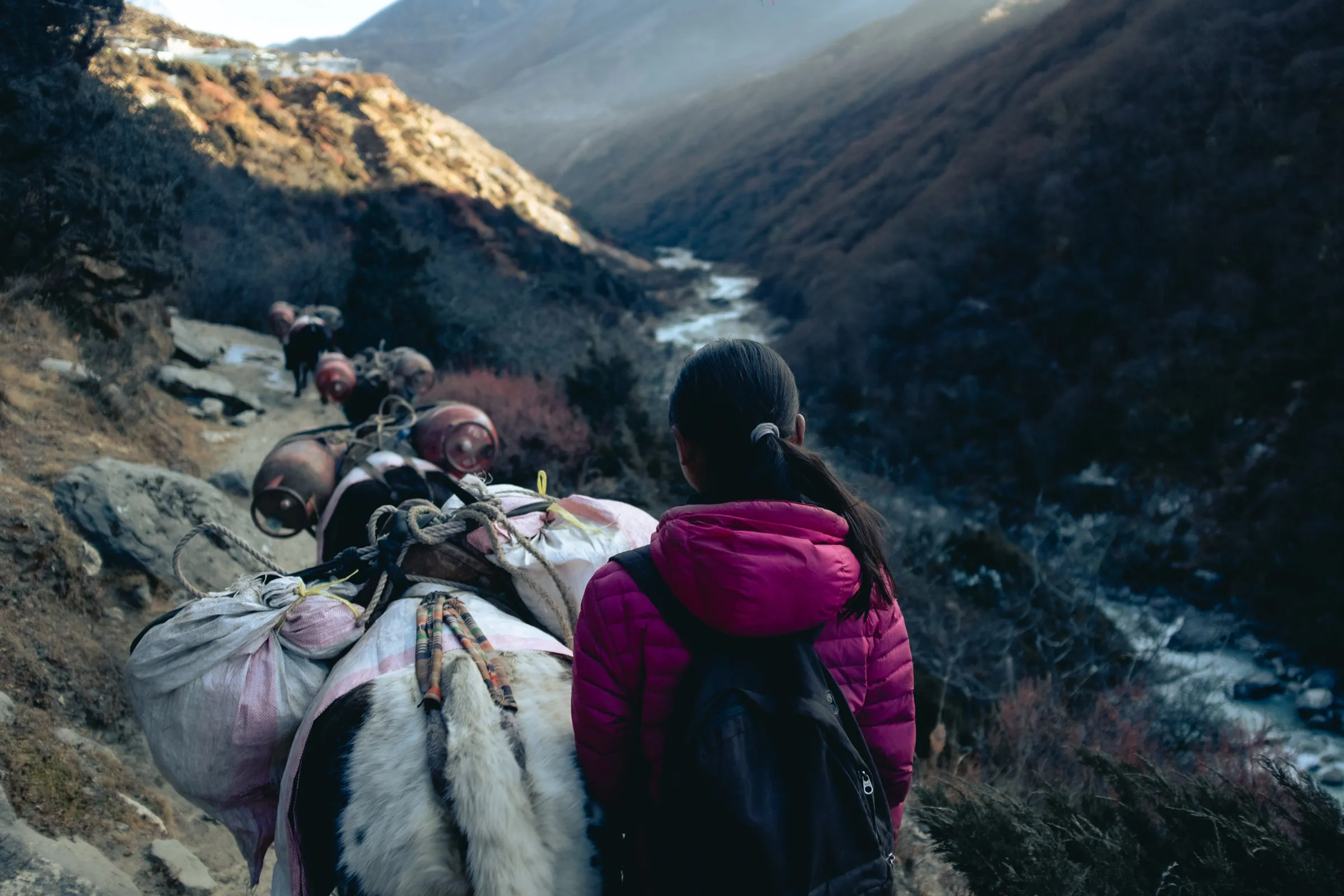 Népal, Everest Base Camp Trek — 4