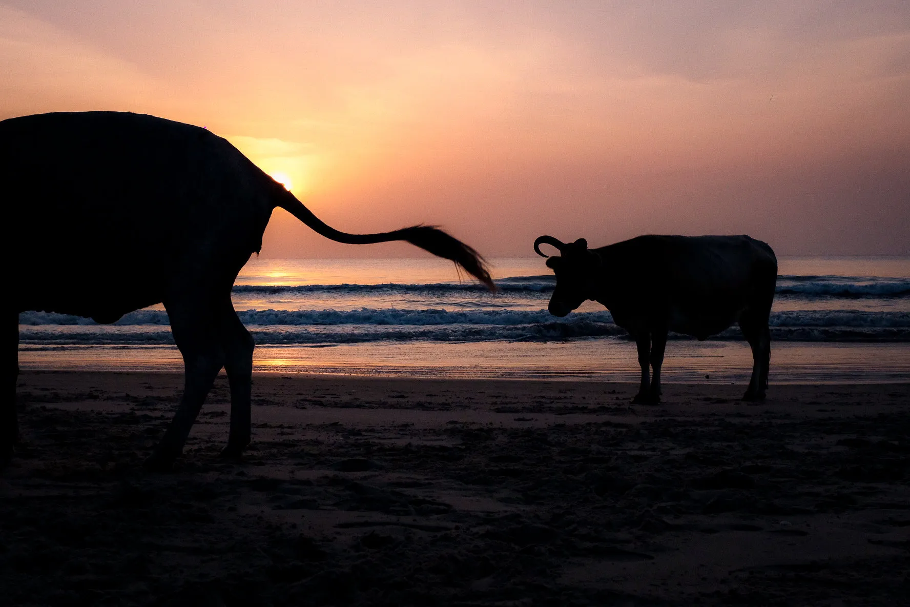 Sénégal, Casamance — 5