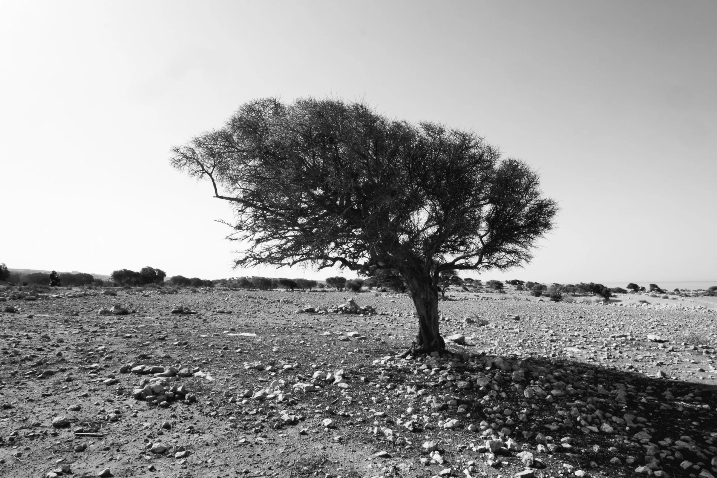 Maroc, Marrakech et Essaouira — 6