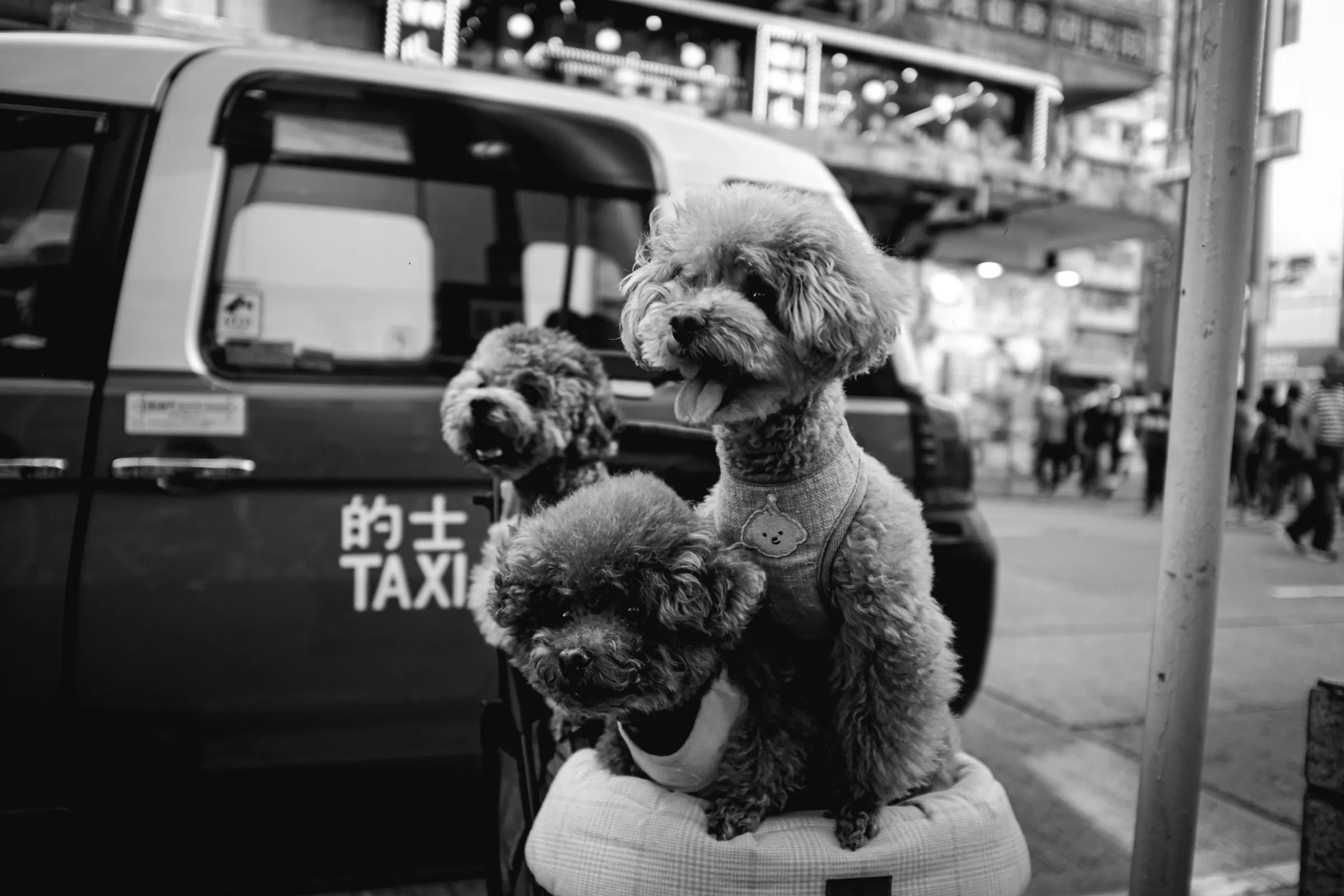 Hong Kong — 9