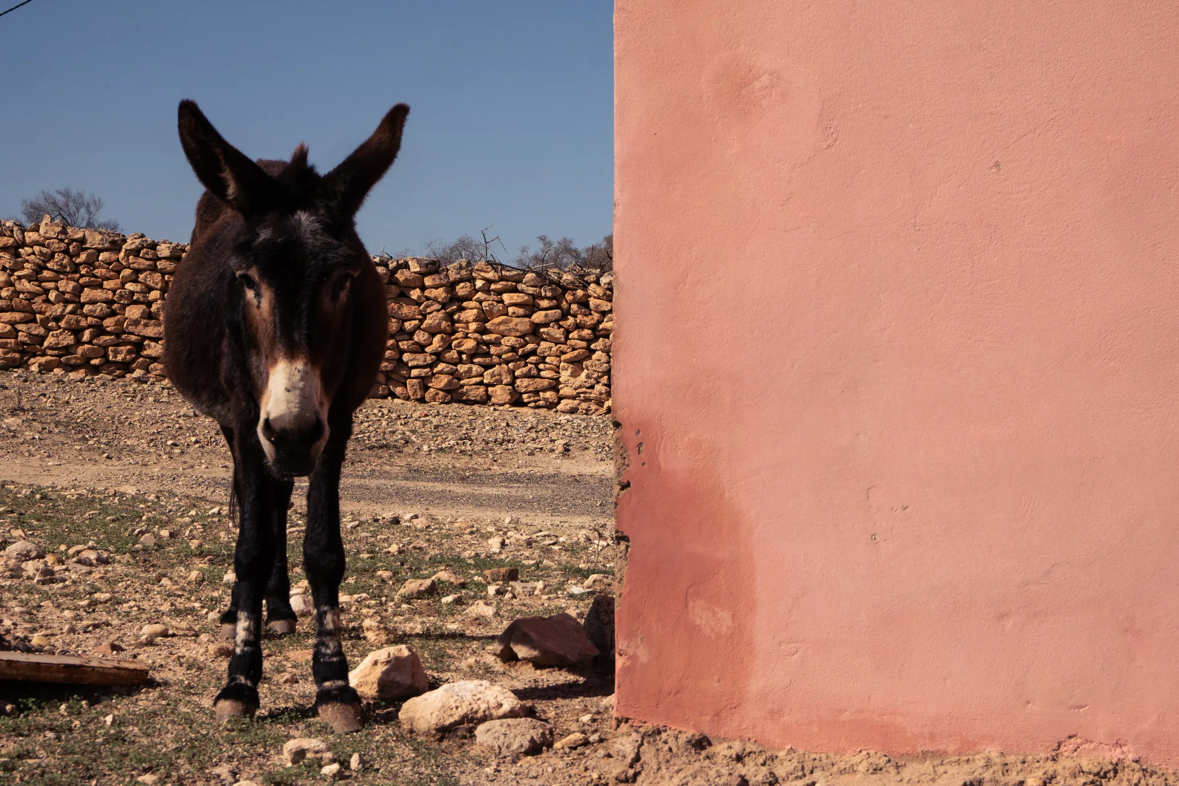 Maroc, Marrakech et Essaouira — 9
