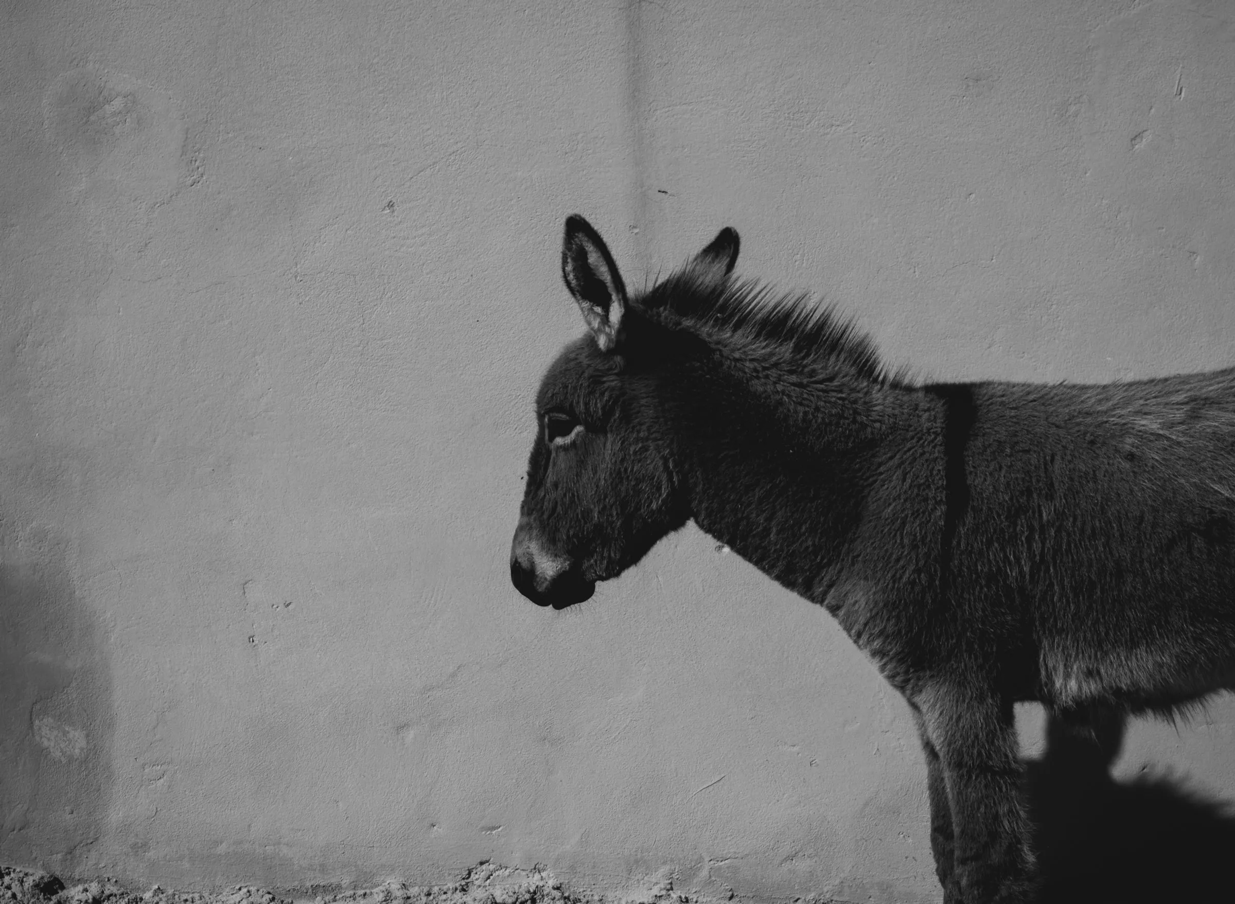 Maroc, Marrakech et Essaouira — 10