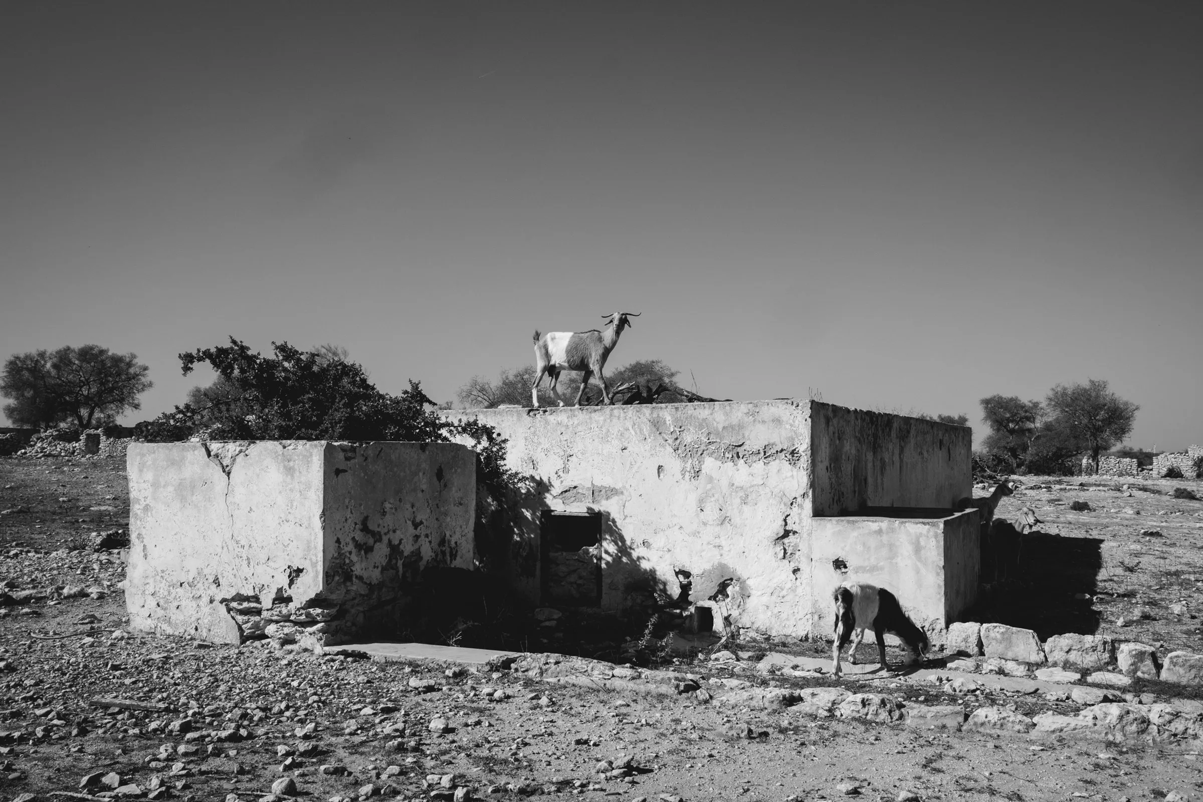 Maroc, Marrakech et Essaouira — 11
