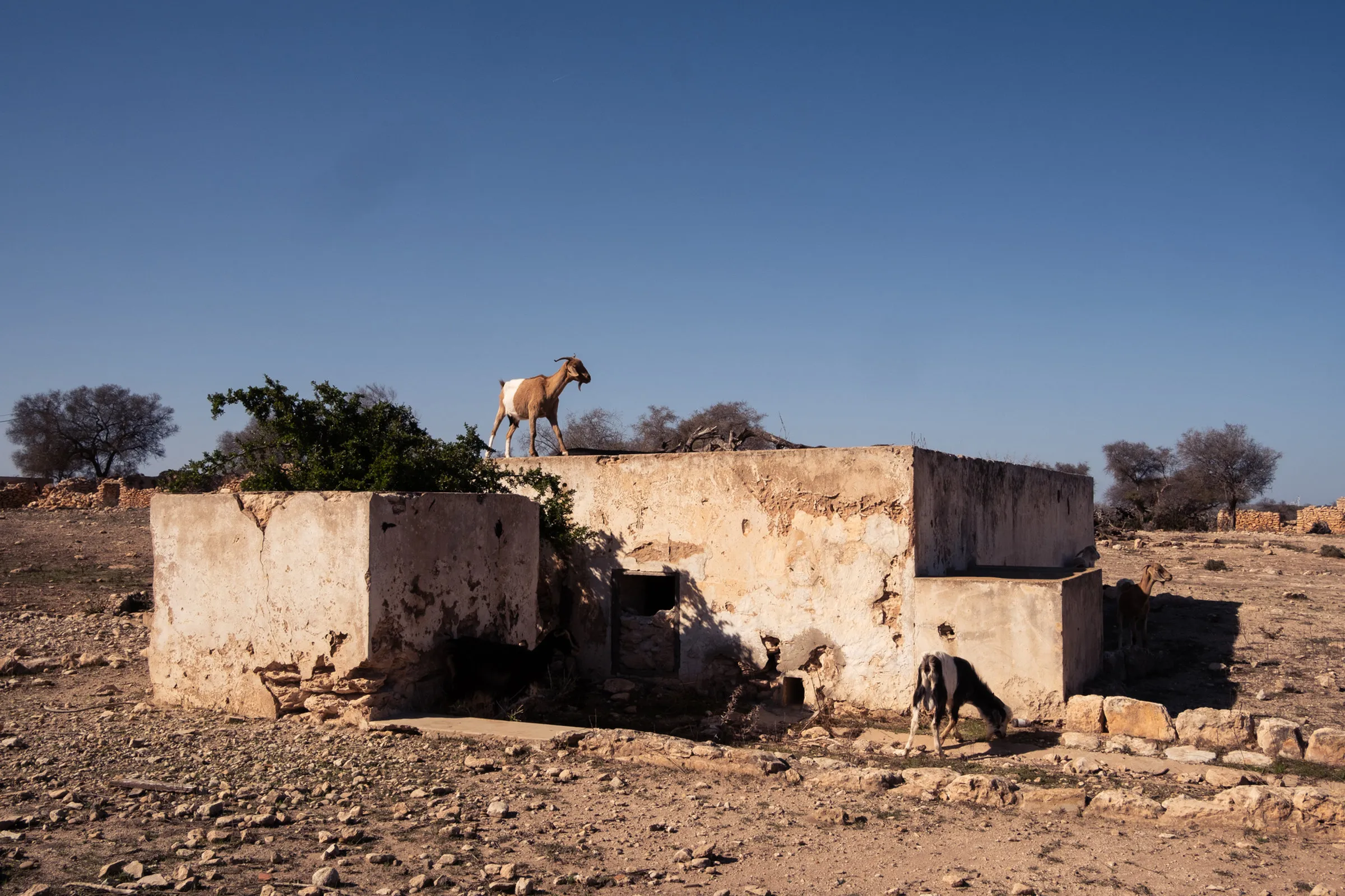 Maroc, Marrakech et Essaouira — 13